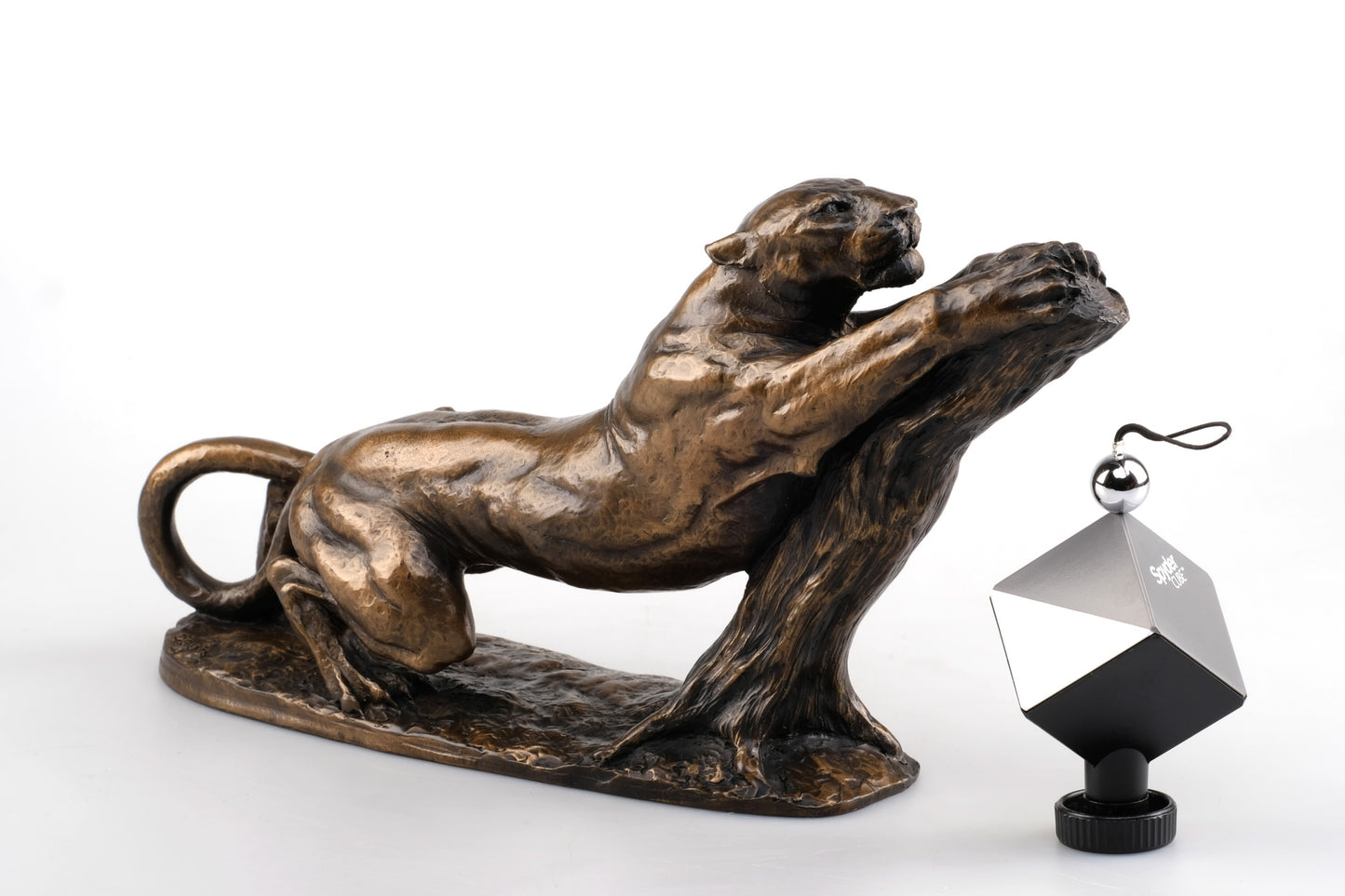 FRENCH ART DECO “STRETCHING BIG CAT”