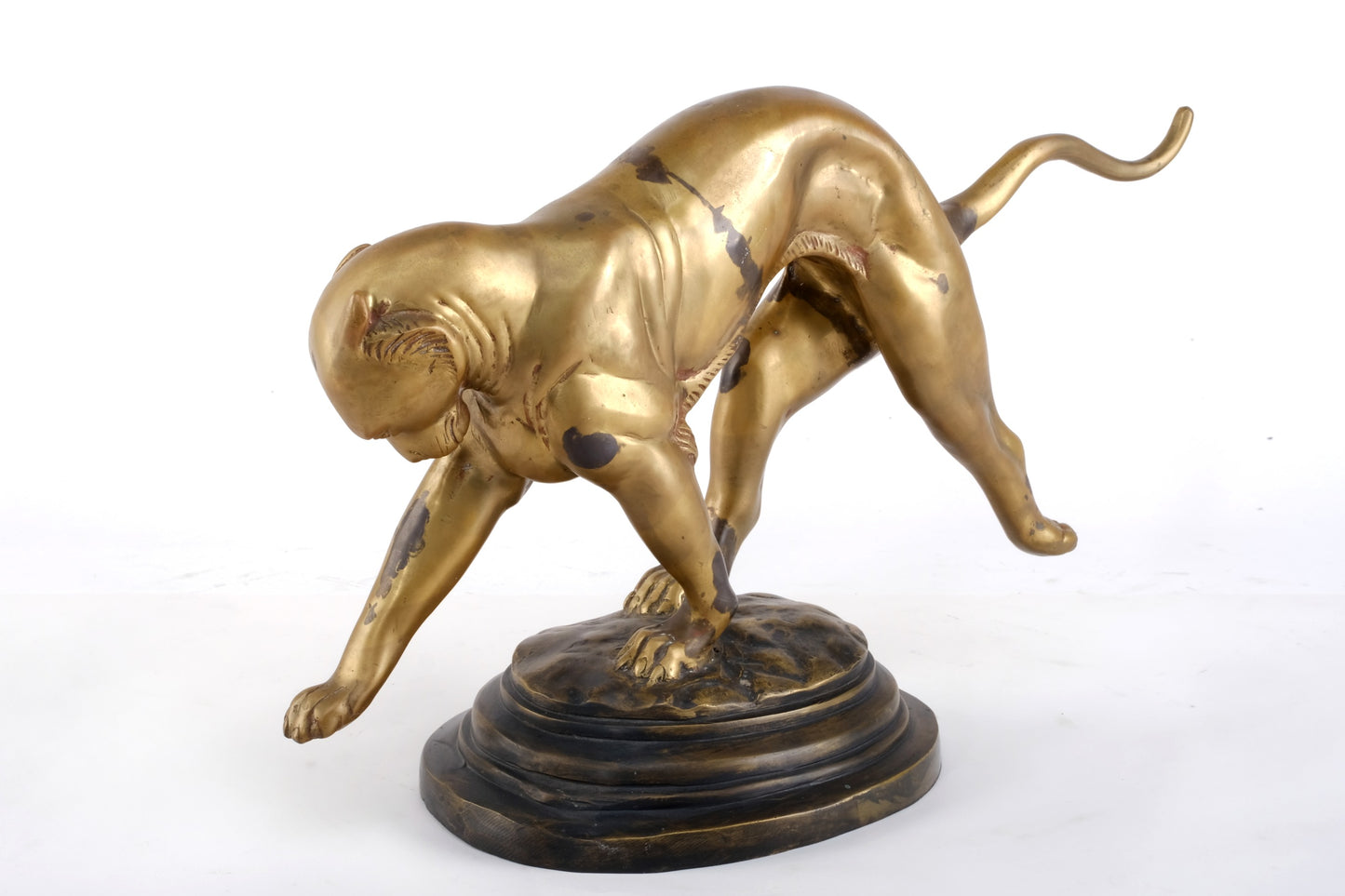 “STRETCHING JAGUAR”