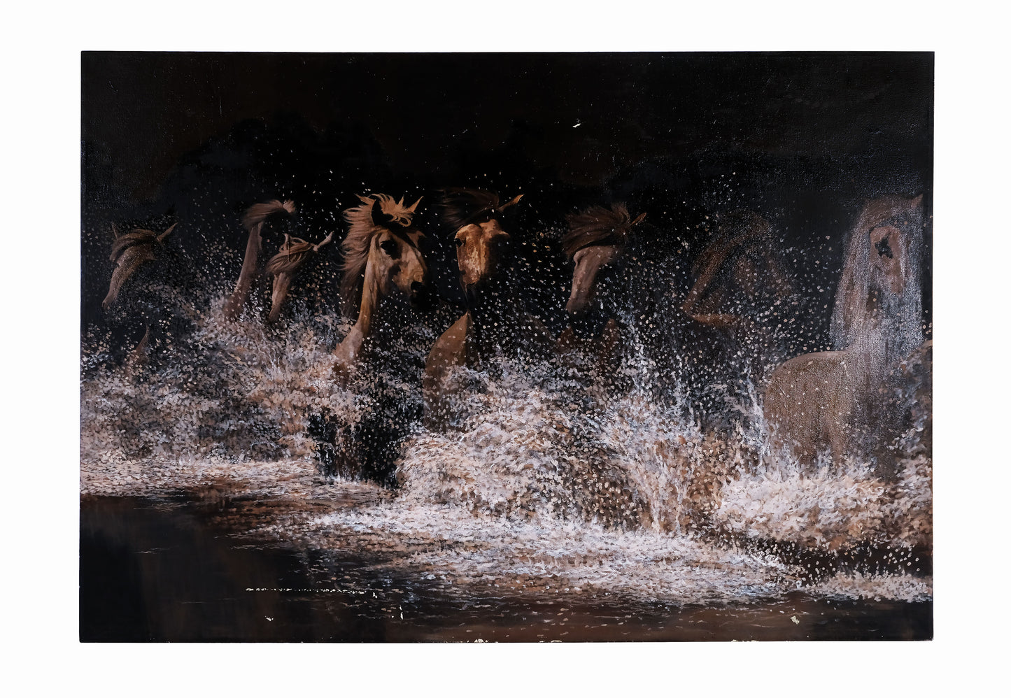 WILD HORSE B