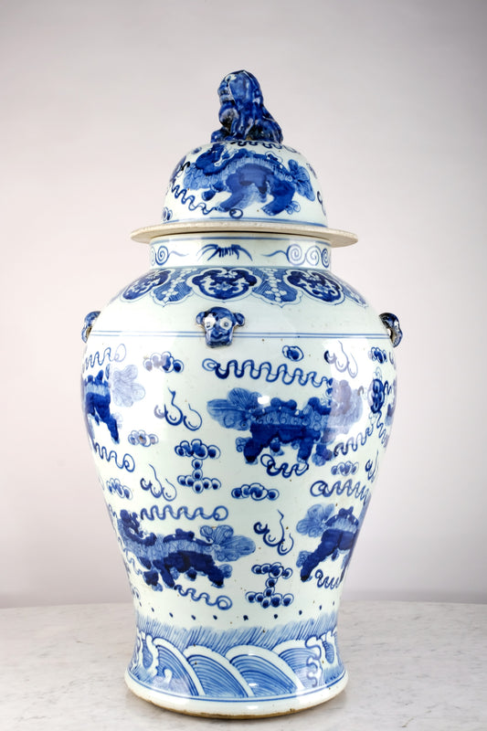 CENTURY BLUED PORCELAIN VASE