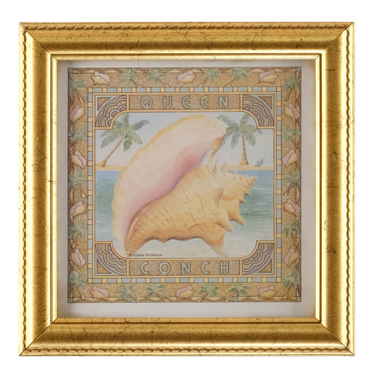 QUEEN CONCH
