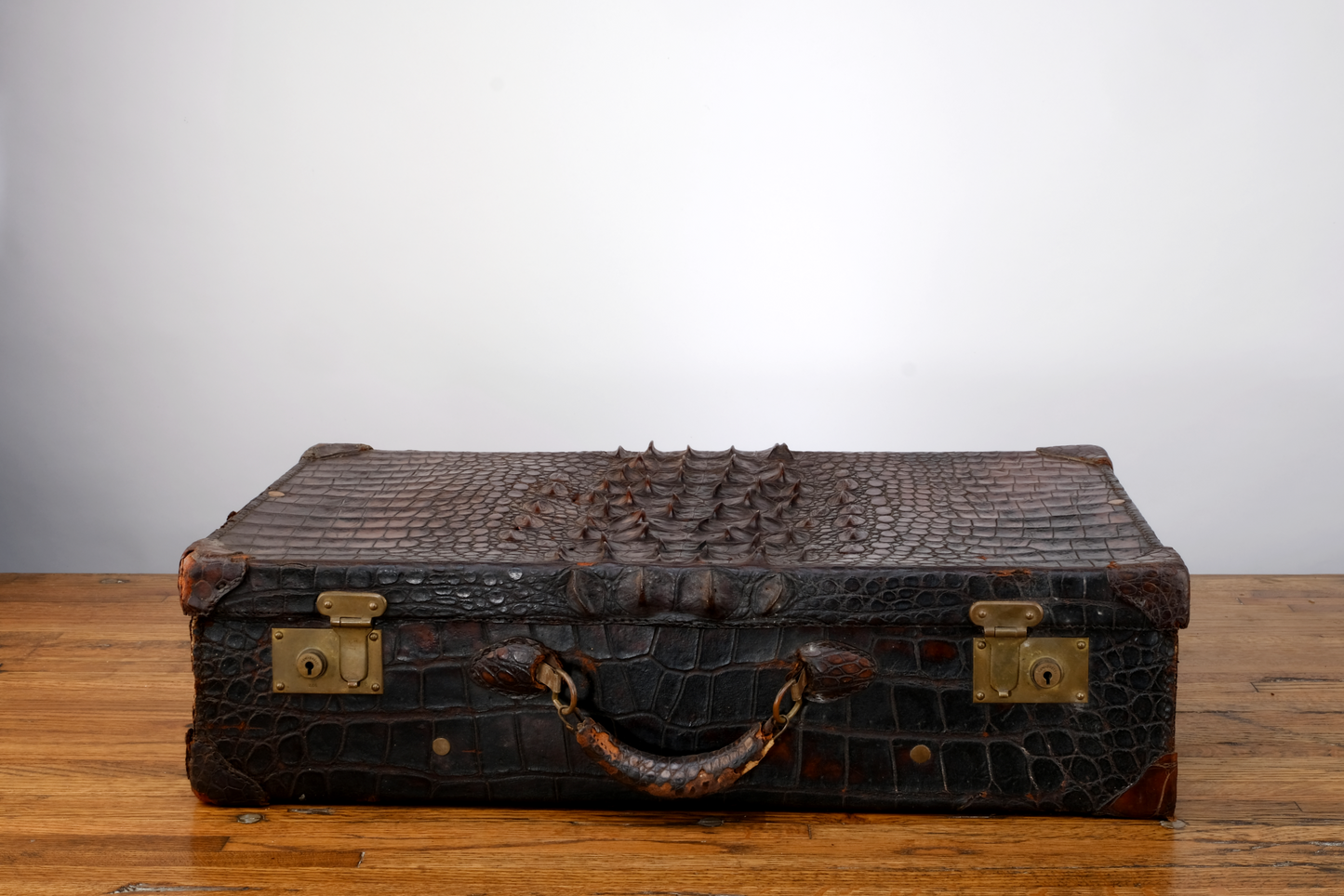 CROCODILE LUGGAGE