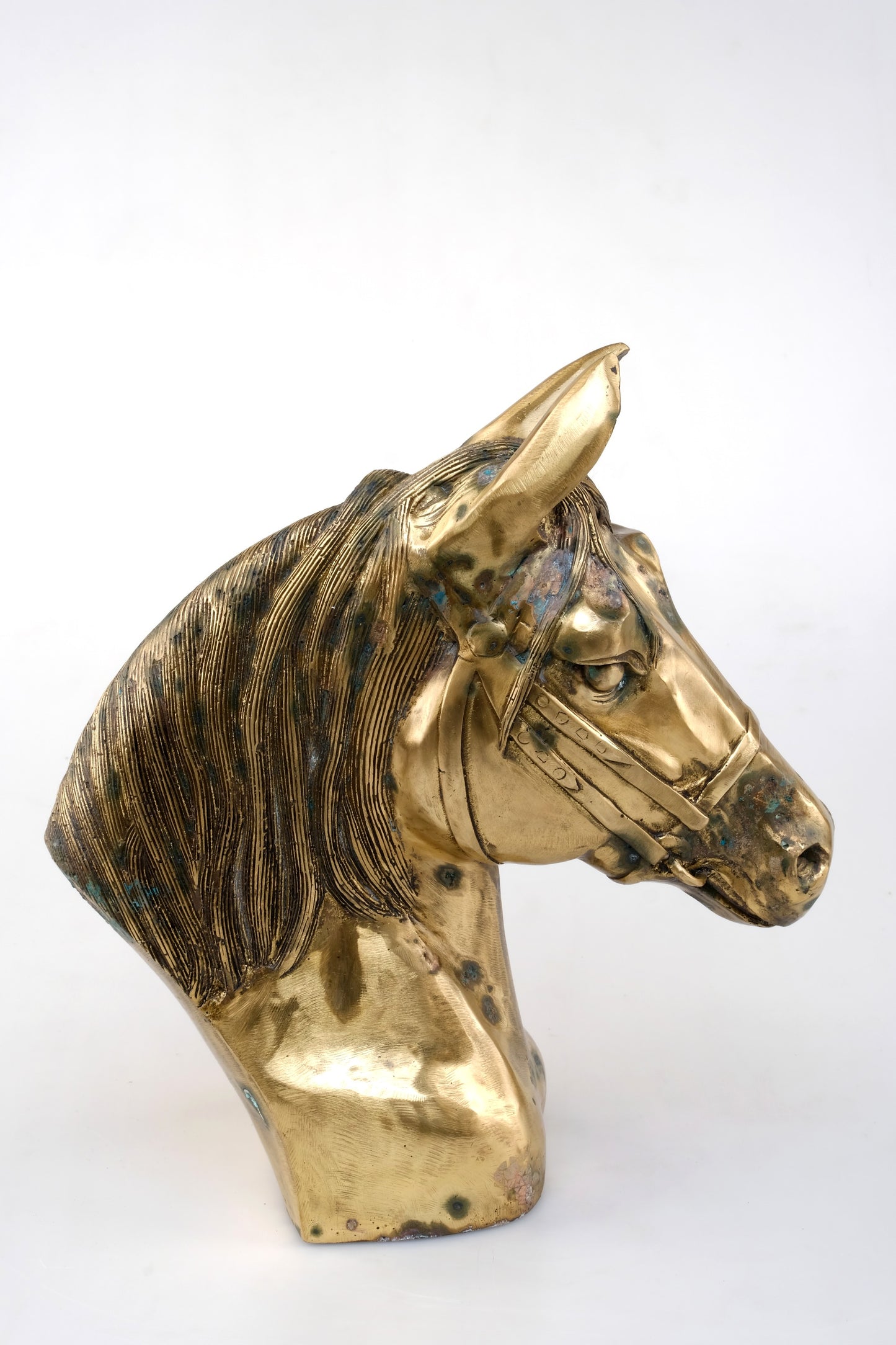 “GOLDEN STALLIONS HEAD HORSES”
