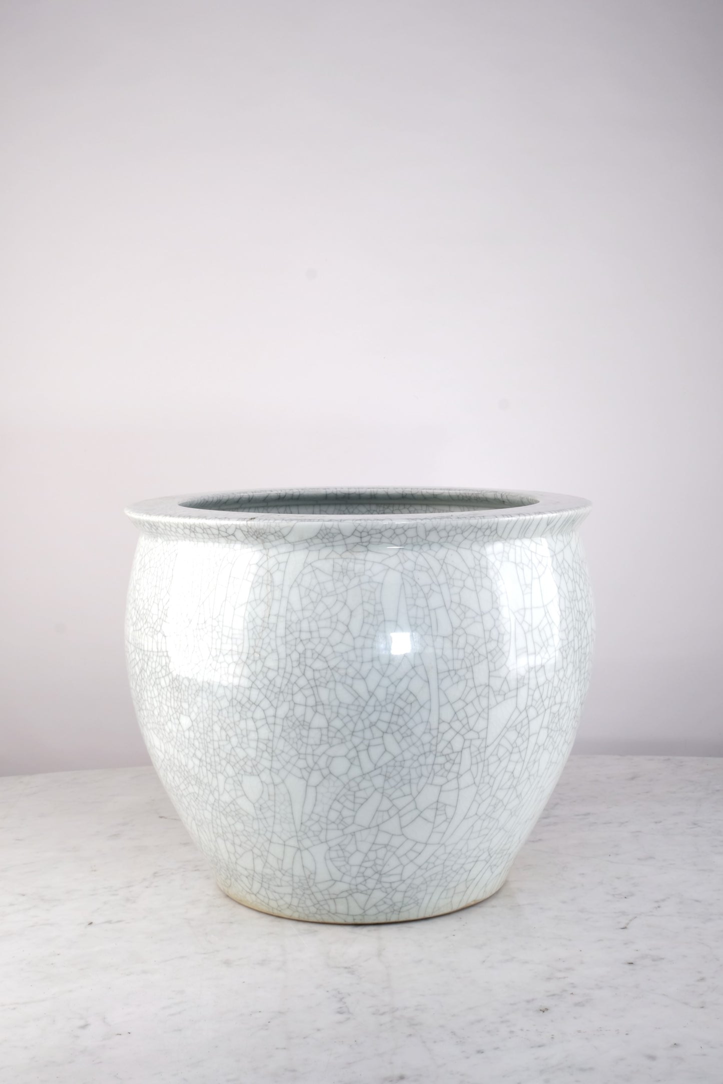 MODERN CERAMIC WHITE PLANTS VASE