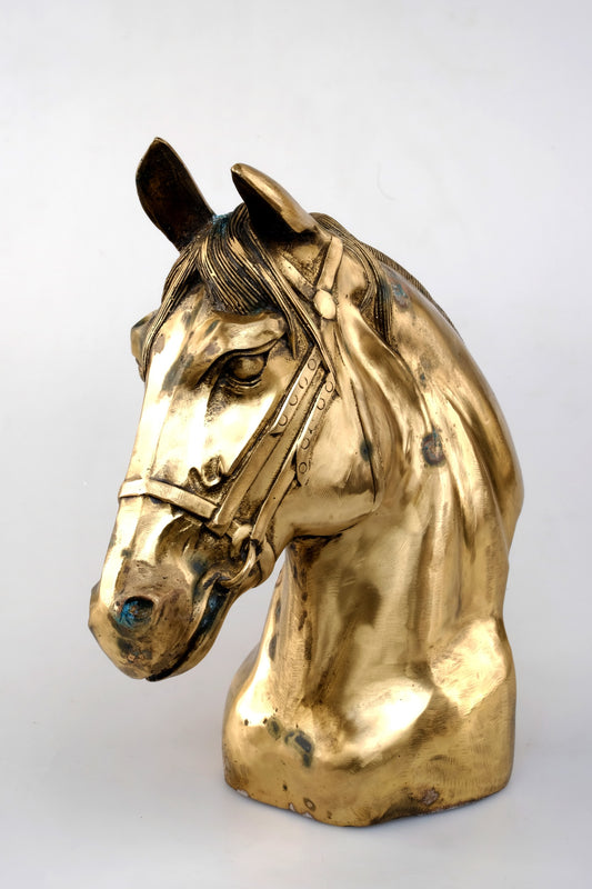 “GOLDEN STALLIONS HEAD HORSES”