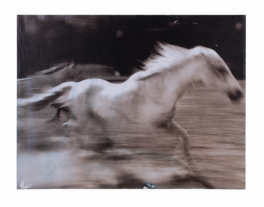 RUNNING WHITE DALE HORSE