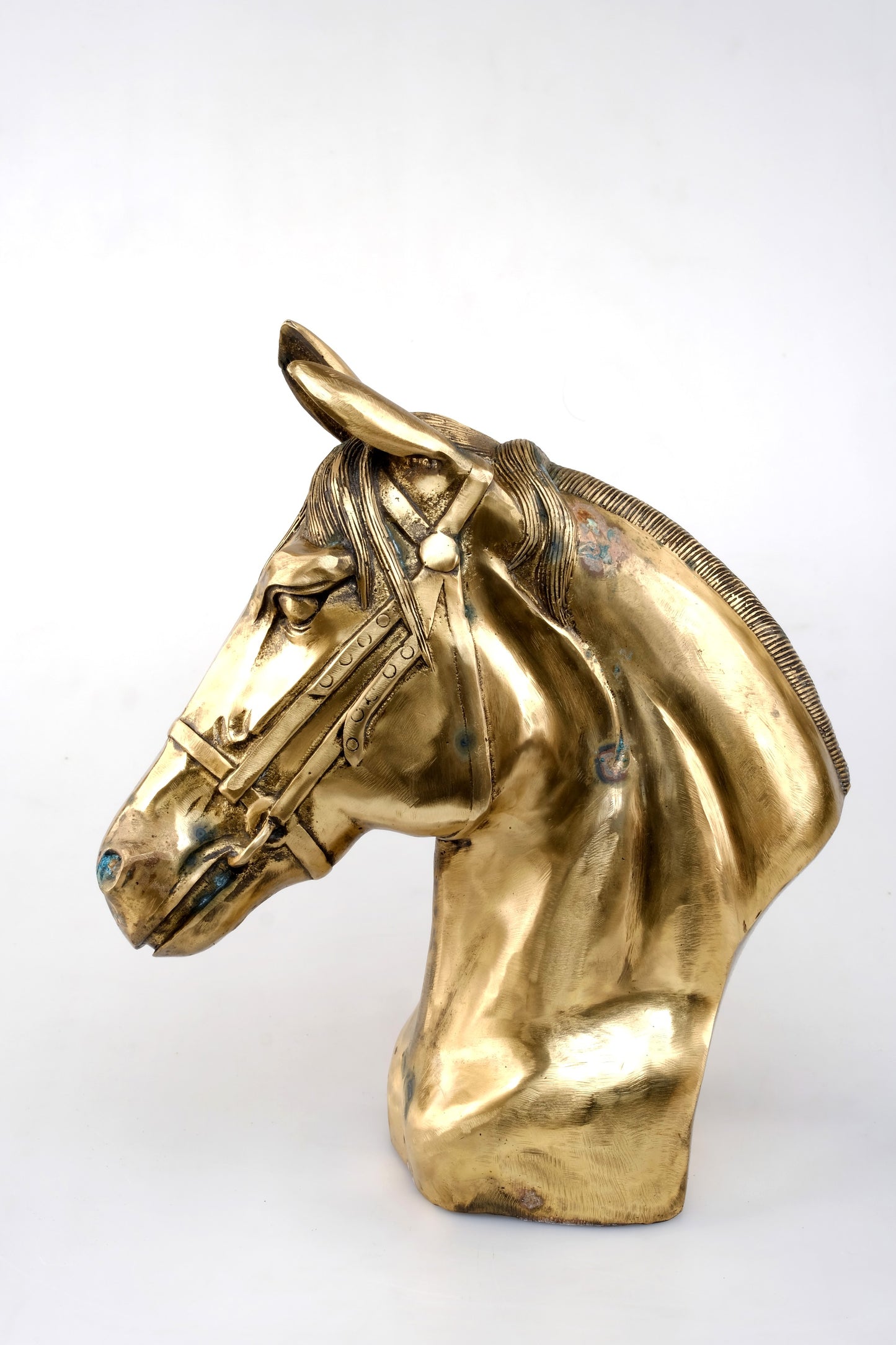 “GOLDEN STALLIONS HEAD HORSES”