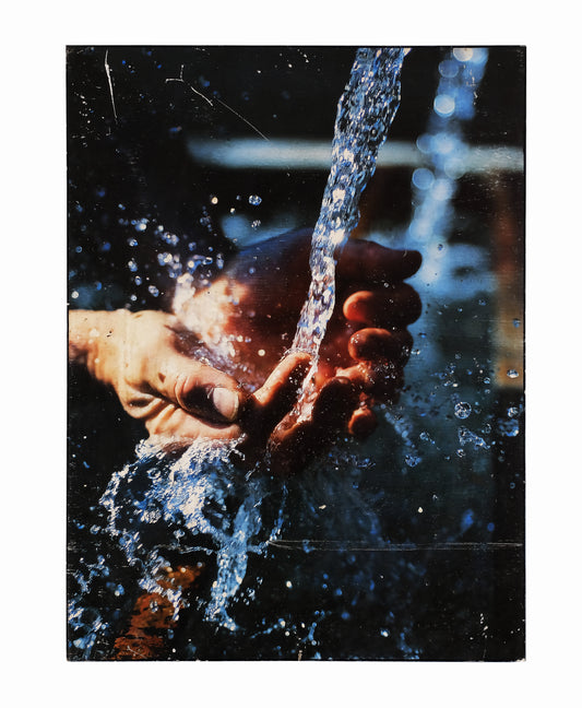 WATER LIFE FORCE