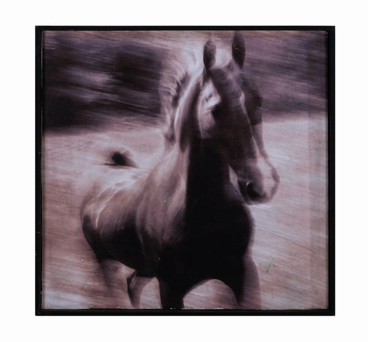 RUNNING BLACK DALE HORSE III