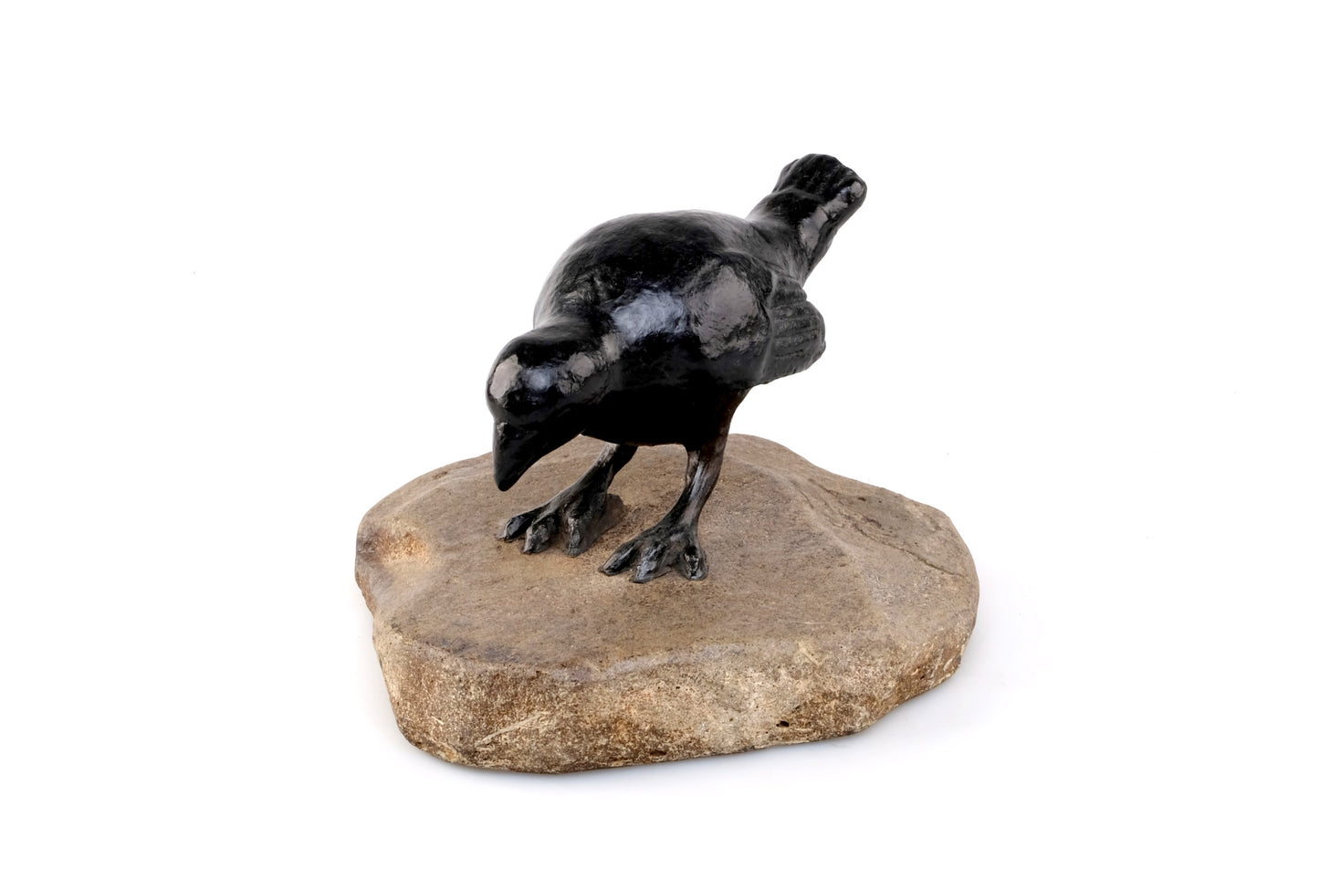 “PAIR OF TWO CATBIRDS”