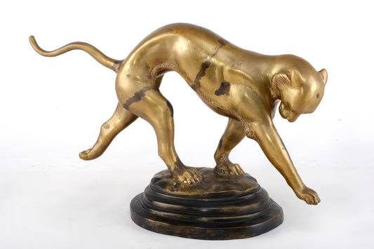 “STRETCHING JAGUAR”