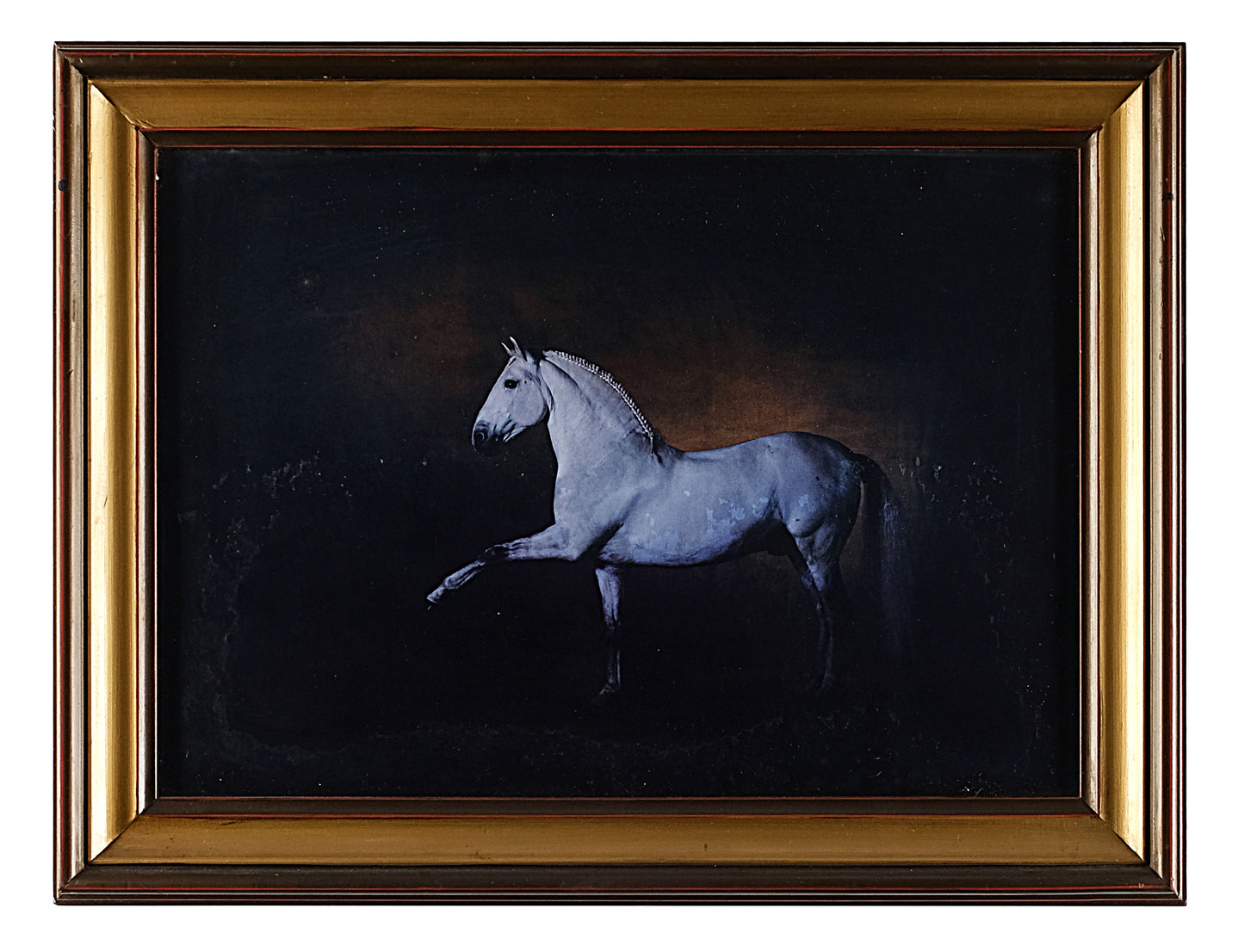 EQUESTRIAN ART