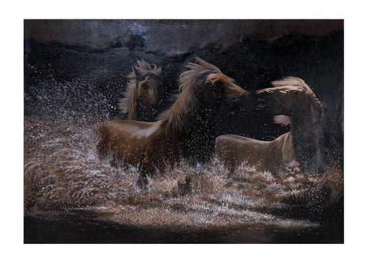 WILD HORSE A