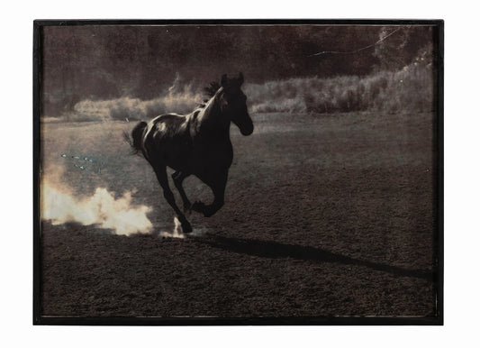 RUNNING BLACK DALE HORSE I