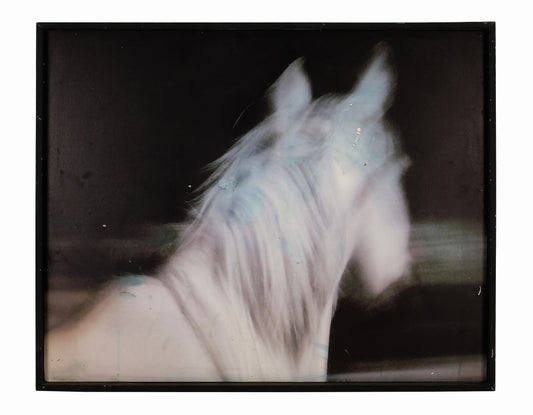 SILHOUETTE OF A HORSE HEAD